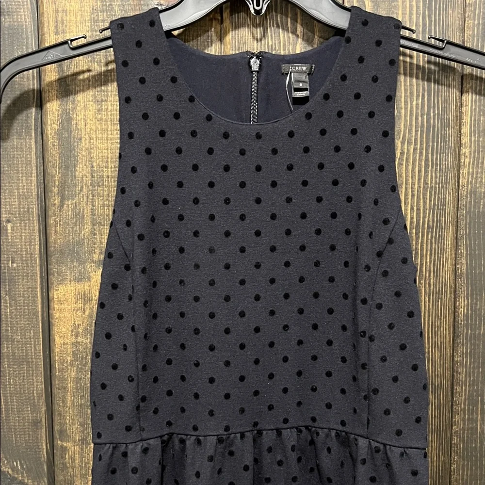 J. Crew Black Velvet Polka Dot Dress‎ S Ponte Preppy Dark Coquette Whimsigoth